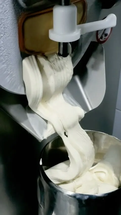 Gelato, fresh from the machine
