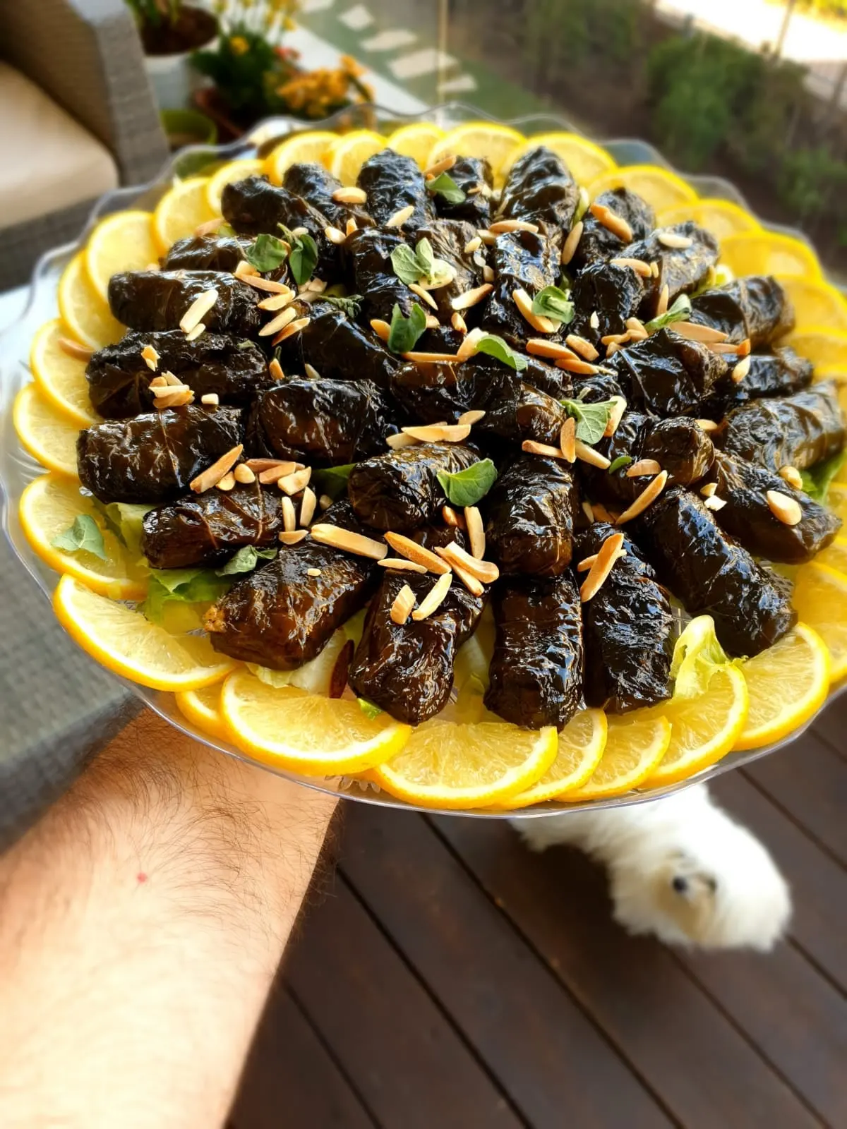 Stuffed vine leaves