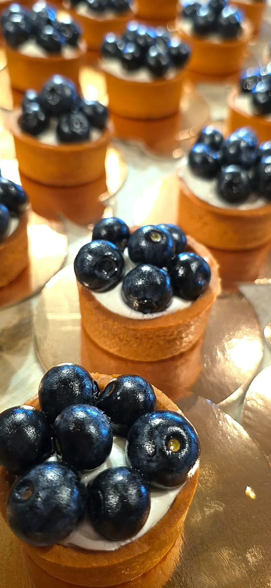 Blueberry tartlets