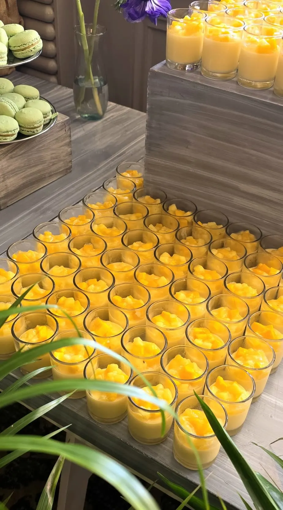 Mango cups and pistachio macarons